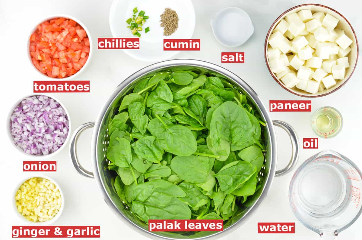 top shot of all the ingredients required to make palak paneer recipe in instant pot, along with ingredient labels