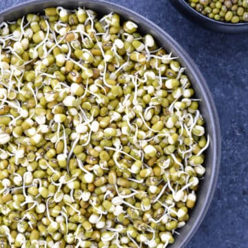 top shot of a big bowl full of mung bean sprouts, with a small bowl of whole mung beans on the side.