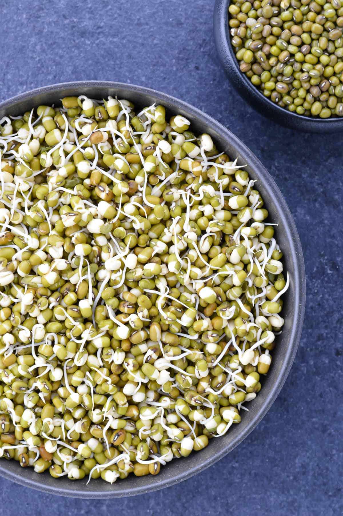 top shot of a big bowl full of mung bean sprouts, with a small bowl of whole mung beans on the side.