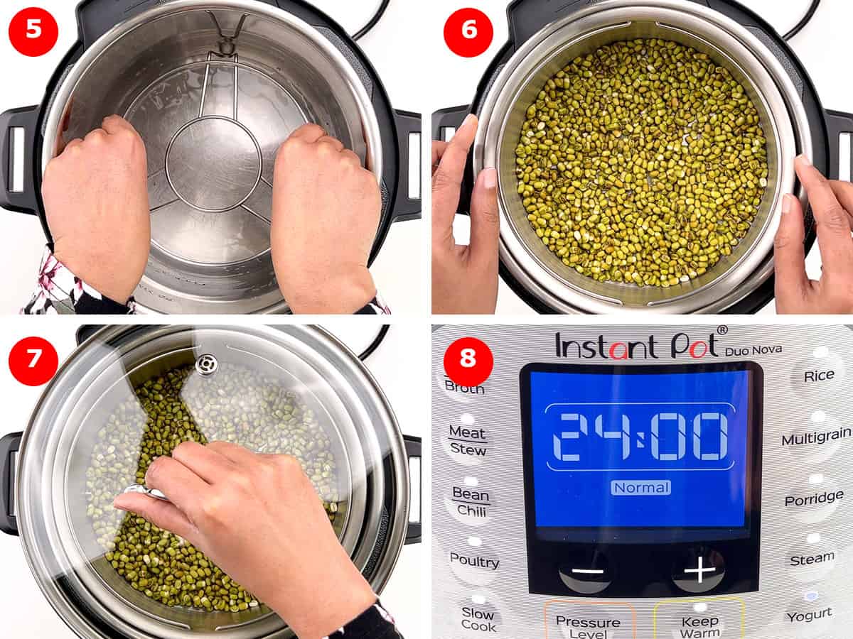 step by step photos of sprouting mung beans in instant pot.